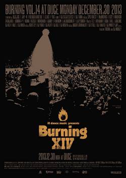 burning250.jpg